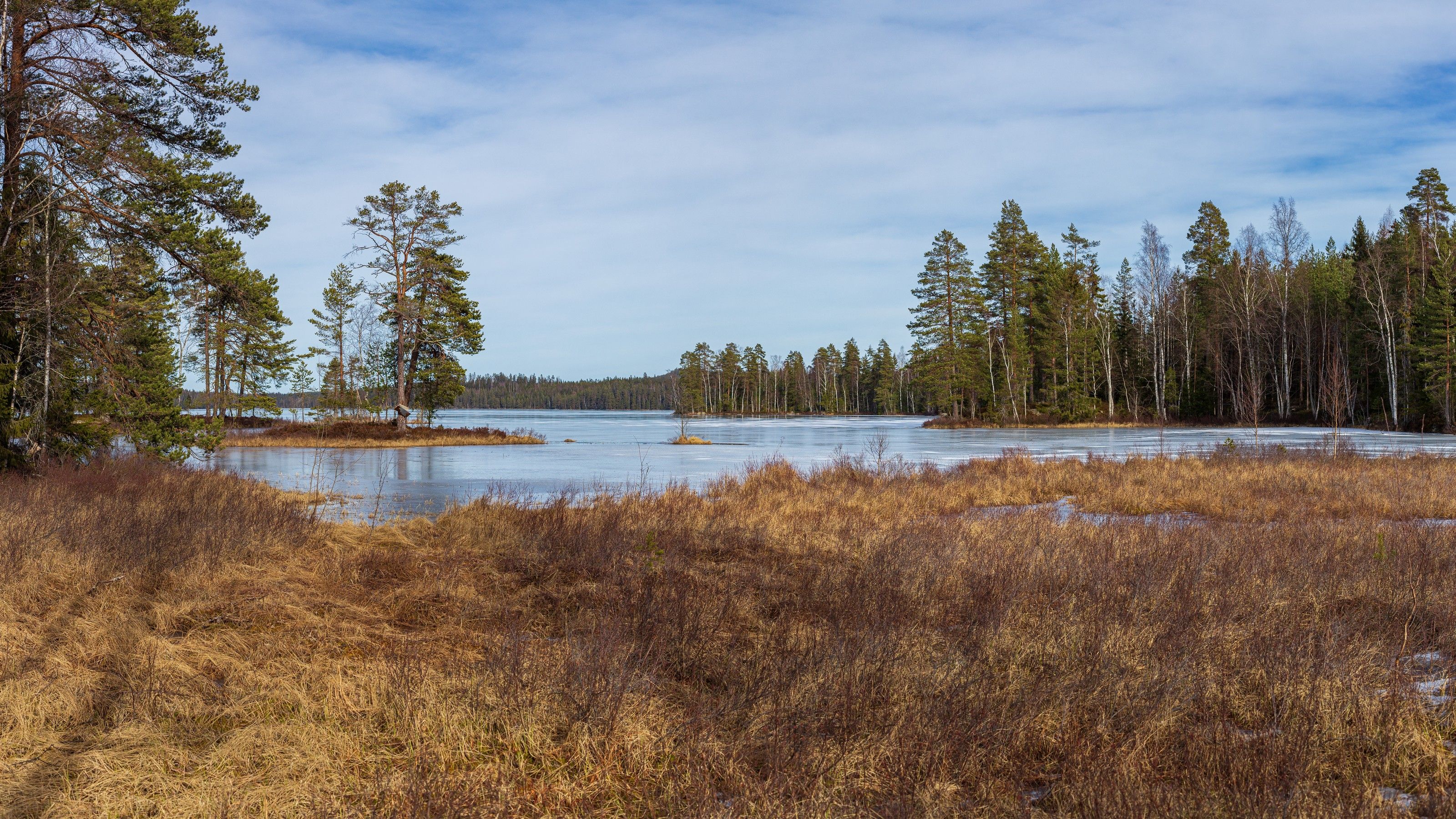 Sjön Björkljustern omgiven av granskog