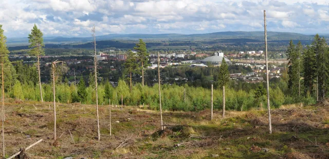 Utsikt över Borlänge