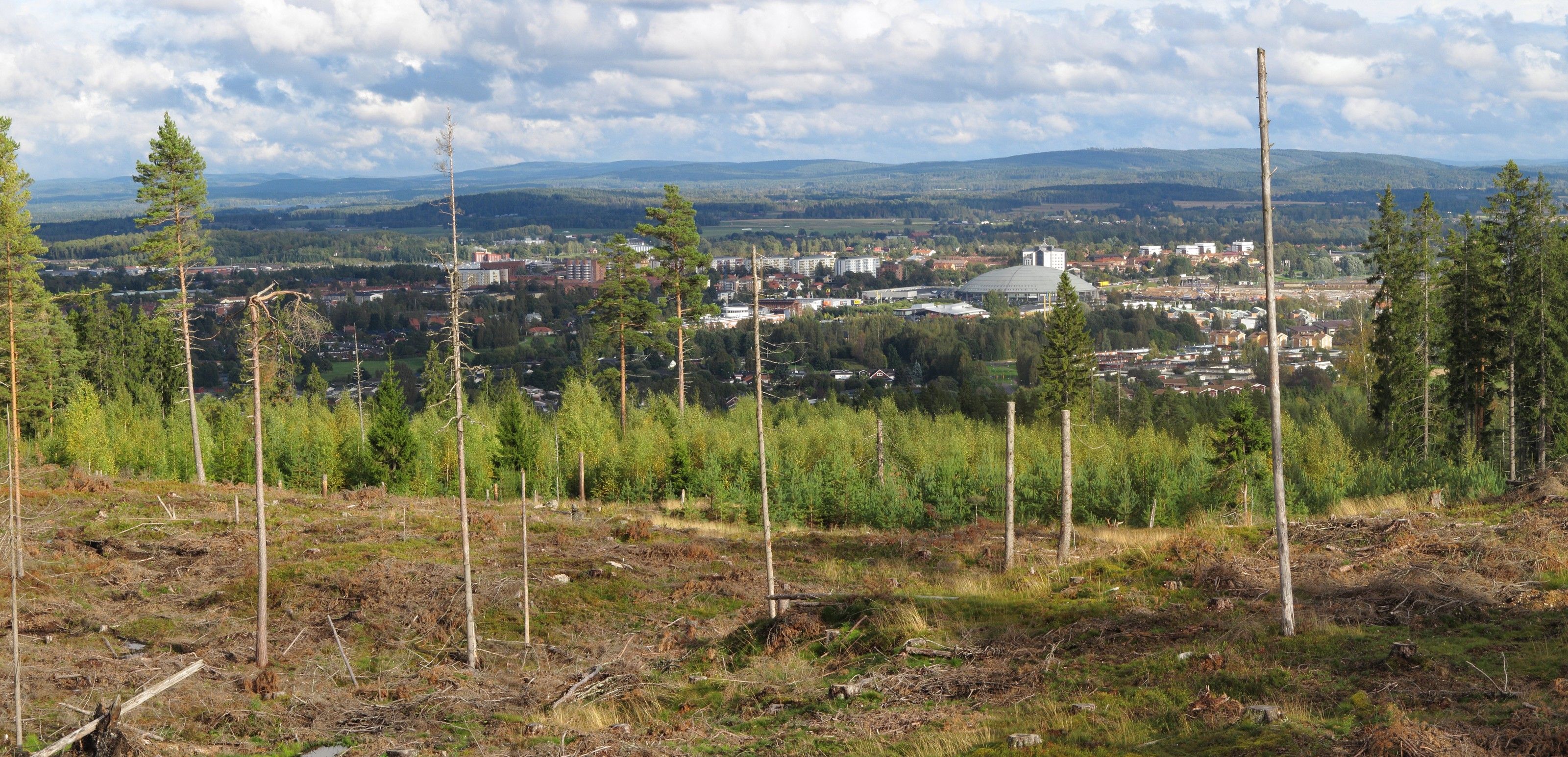 Utsikt över Borlänge